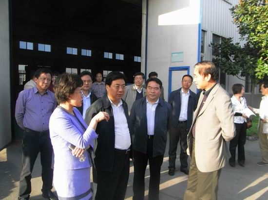 洛阳市委副书记、市长李柳身莅临公司调研机器人轴承项目